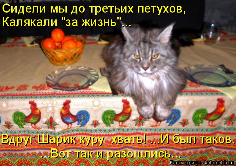 Сидели мы до третьих петухов, Калякали "за жизнь"... ...Вот так и разошлись... Вдруг Шарик куру хват... Котоматрица: Сидели мы до третьих петухов, Калякали "за жизнь"... ...Вот так и разошлись... Вдруг Шарик куру хвать! ...И был таков.