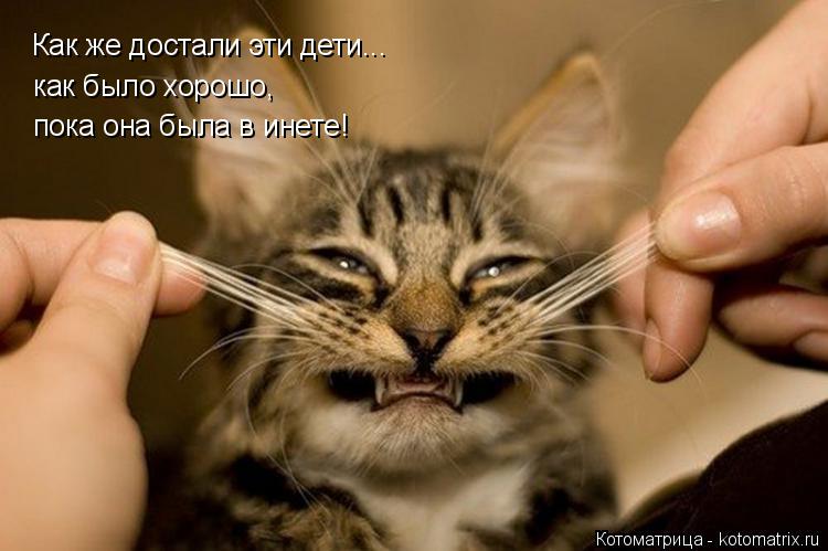 Как же достали эти дети... как было хорошо, пока она была в инете!... Котоматрица: Как же достали эти дети... как было хорошо, пока она была в инете!
