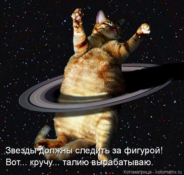 Звезды должны следить за фигурой! Вот... кручу... талию вырабатываю.... Котоматрица: Звезды должны следить за фигурой! Вот... кручу... талию вырабатываю.