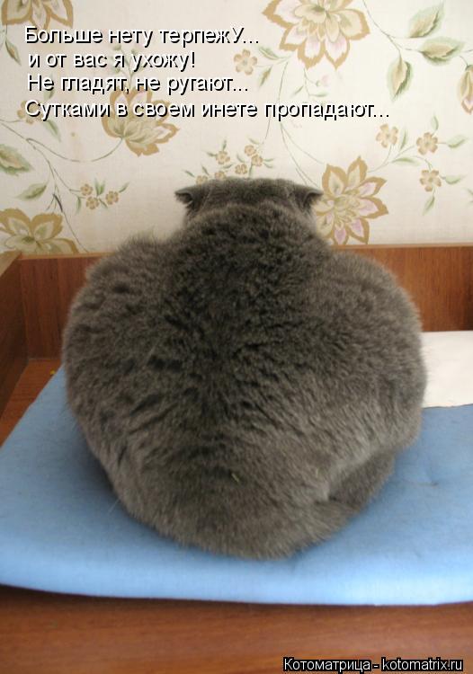 Больше нету терпежУ... и от вас я ухожу! Не гладят, не ругают... Сутками в своем инете пропадают...... Котоматрица: Больше нету терпежУ... и от вас я ухожу! Не гладят, не ругают... Сутками в своем инете пропадают...
