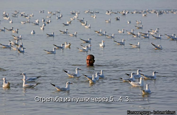 Стрельба из пушки через 5...4..3...... Котоматрица: Стрельба из пушки через 5...4..3...