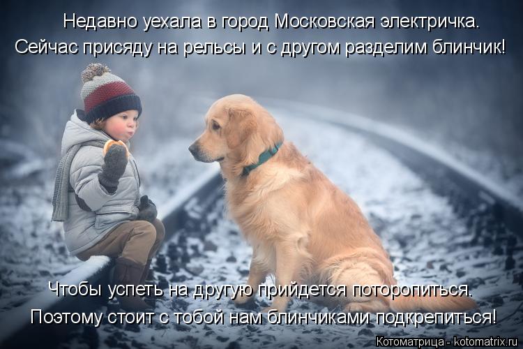 Сейчас присяду на рельсы и с другом разделим блинчик! Недавно уехала в город Московская электричка. ... Котоматрица: Сейчас присяду на рельсы и с другом разделим блинчик! Недавно уехала в город Московская электричка. Поэтому стоит с тобой нам блинчиками п?