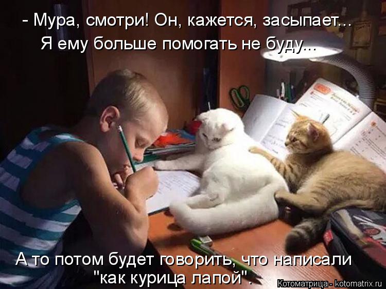 - Мура, смотри! Он, кажется, засыпает... "как курица лапой". Я ему больше помогать не буду... А то по... Котоматрица: - Мура, смотри! Он, кажется, засыпает... "как курица лапой". Я ему больше помогать не буду... А то потом будет говорить, что написали