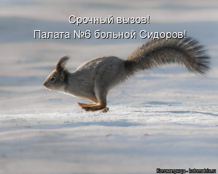 Котоматрица: Срочный вызов! Палата №6 больной Сидоров!