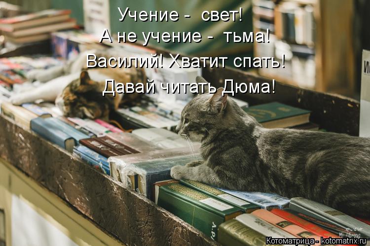 А не учение - тьма! Учение - свет! Василий! Хватит спать! Давай читать Дюма!... Котоматрица: А не учение - тьма! Учение - свет! Василий! Хватит спать! Давай читать Дюма!