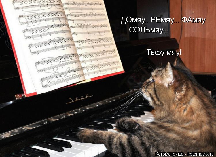 ДОмяу...РЕмяу....ФАмяу СОЛЬмяу... Тьфу мяу!... Котоматрица: ДОмяу...РЕмяу....ФАмяу СОЛЬмяу... Тьфу мяу!