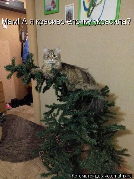 Мам! А я красиво елочку украсила?... Котоматрица: Мам! А я красиво елочку украсила?