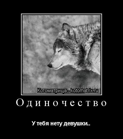 Одиночество У тебя нету девушки..... Котоматрица: Одиночество У тебя нету девушки..