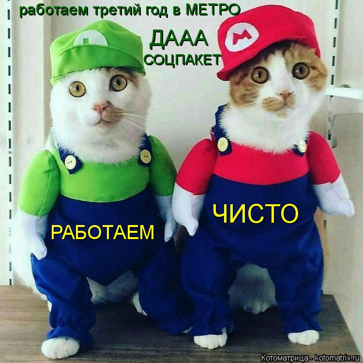 работаем третий год в МЕТРО ДААА СОЦПАКЕТ РАБОТАЕМ ЧИСТО... Котоматрица: работаем третий год в МЕТРО ДААА СОЦПАКЕТ РАБОТАЕМ ЧИСТО