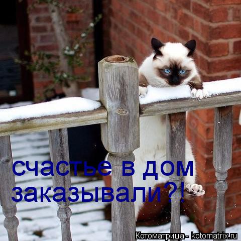 Котоматрица: счастье в дом заказывали?!