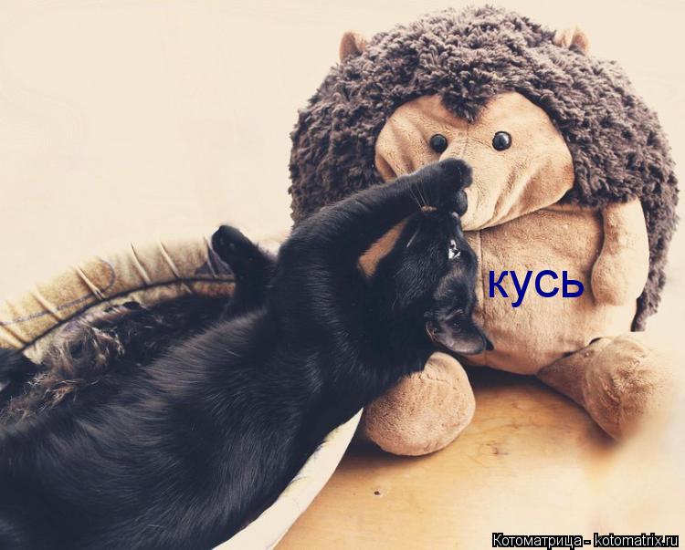 Котоматрица: кусь