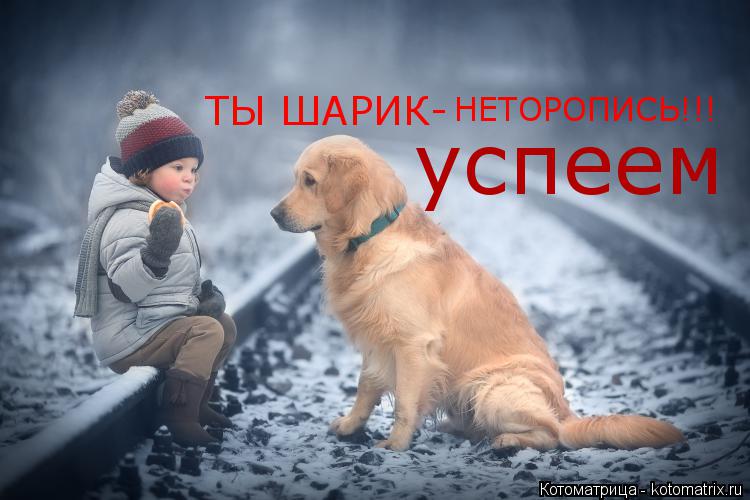 ТЫ ШАРИК- НЕТОРОПИСЬ!!! успеем... Котоматрица: ТЫ ШАРИК- НЕТОРОПИСЬ!!! успеем