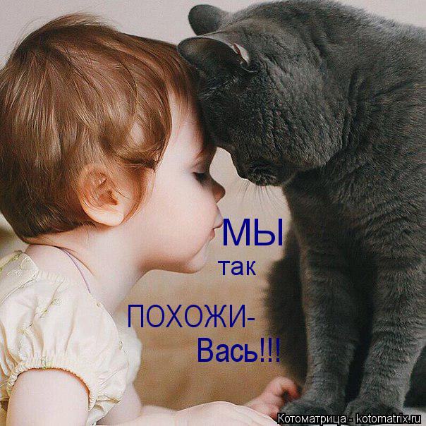 МЫ так ПОХОЖИ- Вась!!!... Котоматрица: МЫ так ПОХОЖИ- Вась!!!