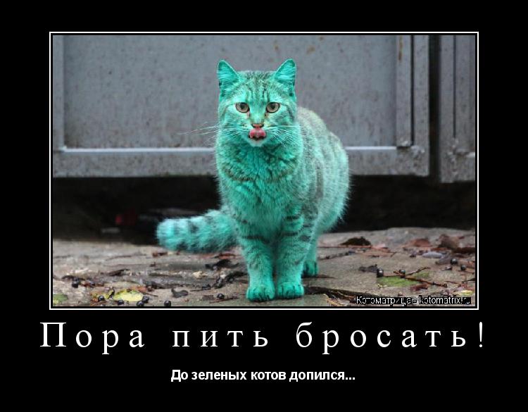 Пора пить бросать! До зеленых котов допился...... Котоматрица: Пора пить бросать! До зеленых котов допился...