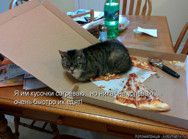 Котоматрица: Я им кусочки согреваю,  но никак не успеваю... очень быстро их едят!