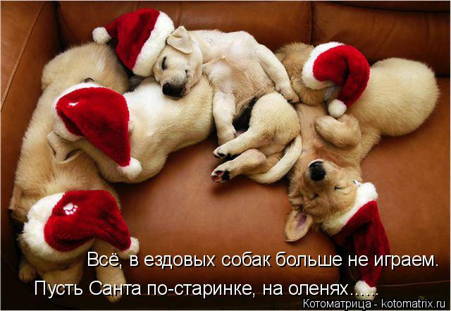Котоматрица: Всё, в ездовых собак больше не играем.  Пусть Санта по-старинке, на оленях......