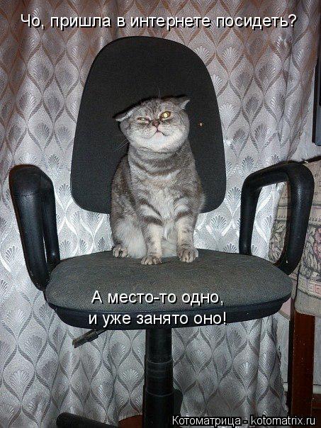 Котоматрица: Чо, пришла в интернете посидеть? А место-то одно, и уже занято оно!