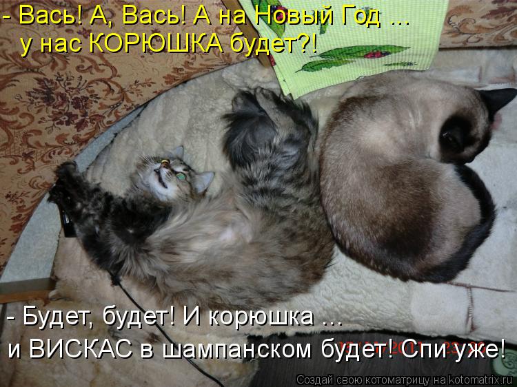 - Вась! А, Вась! А на Новый Год ... у нас КОРЮШКА будет?! - Будет, будет! И корюшка ... и ВИСКАС в ша... Котоматрица: - Вась! А, Вась! А на Новый Год ... у нас КОРЮШКА будет?! - Будет, будет! И корюшка ... и ВИСКАС в шампанском будет! Спи уже!