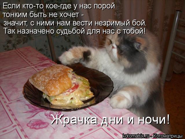 Котоматрица: Если кто-то кое-где у нас порой  тонким быть не хочет -  значит, с ними нам вести незримый бой. Так назначено судьбой для нас с тобой! Жрачка дн?