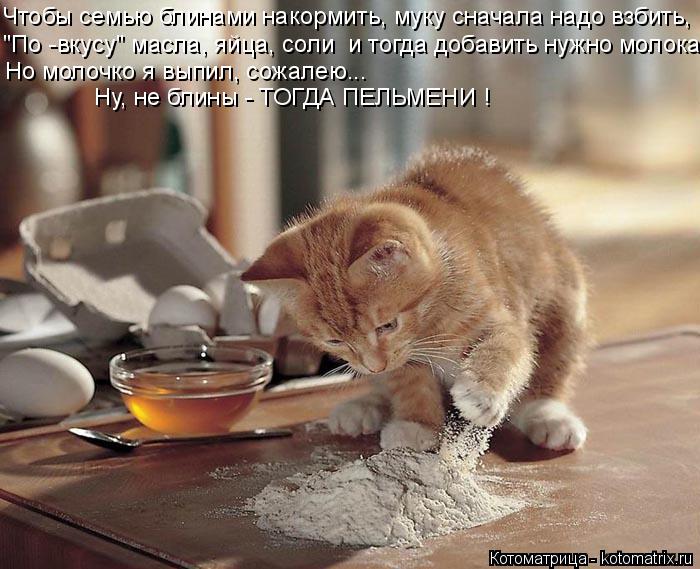 Котоматрица: Чтобы семью блинами накормить, муку сначала надо взбить, Но молочко я выпил, сожалею... Ну, не блины - ТОГДА ПЕЛЬМЕНИ ! "По -вкусу" масла, яйца, с?