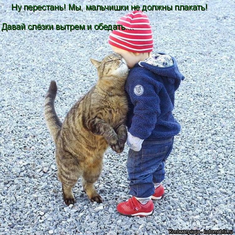 Котоматрица: Ну перестань! Мы, мальчишки не должны плакать! Давай слёзки вытрем и обедать....