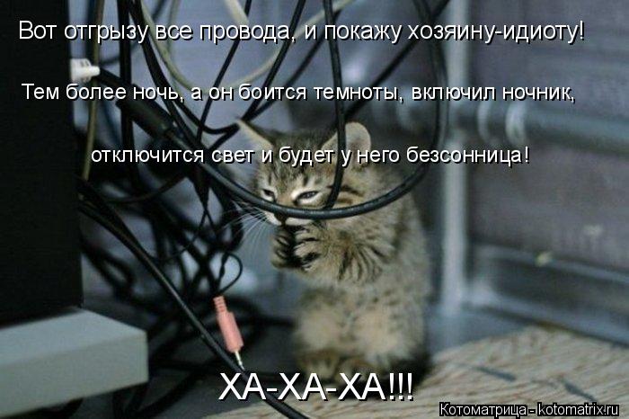 Котоматрица: Вот отгрызу все провода, и покажу хозяину-идиоту! Тем более ночь, а он боится темноты, включил ночник, отключится свет и будет у него безсонн?
