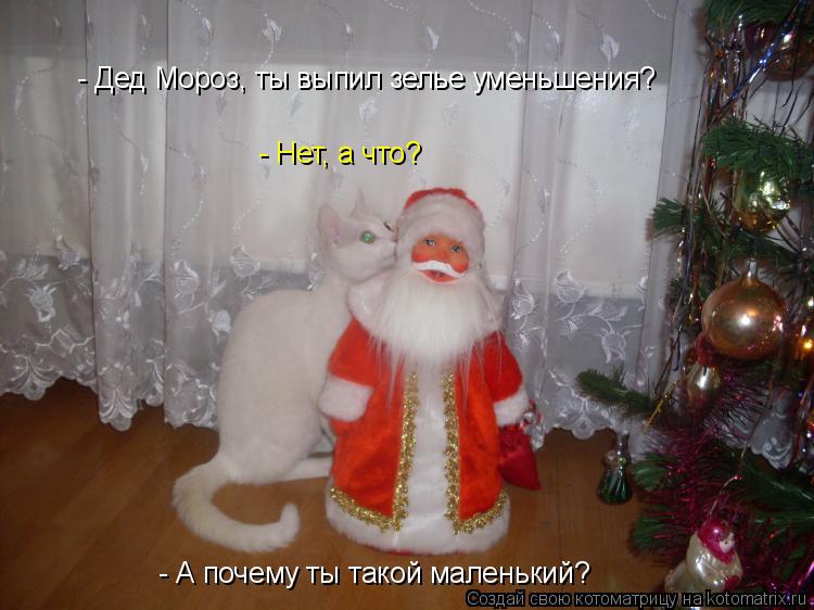 Котоматрица: - Дед Мороз, ты выпил зелье уменьшения? - Нет, а что? - А почему ты такой маленький?