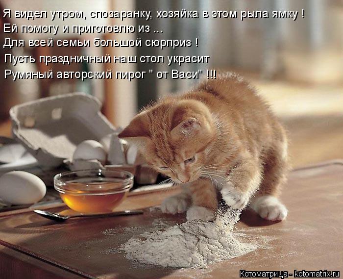 Котоматрица: Я видел утром, спозаранку, хозяйка в этом рыла ямку ! Ей помогу и приготовлю из ... Для всей семьи большой сюрприз ! Пусть праздничный наш стол 