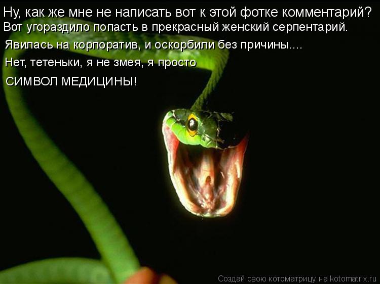 Котоматрица: Ну, как же мне не написать вот к этой фотке комментарий? Явилась на корпоратив, и оскорбили без причины.... Нет, тетеньки, я не змея, я просто  В?
