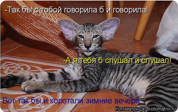 Котоматрица: -Так бы с тобой говорила б и говорила! -А я тебя б слушал и слушал! Вот так бы и коротали зимние вечера...