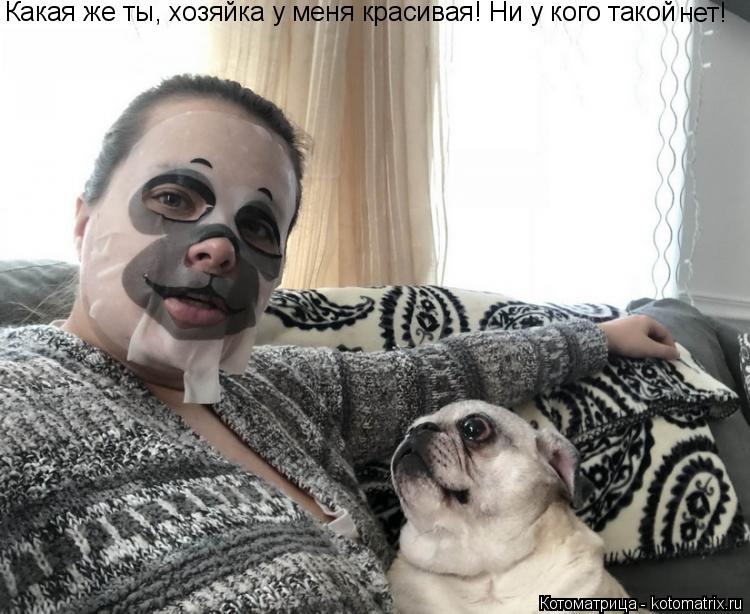 Котоматрица: Какая же ты, хозяйка у меня красивая! Ни у кого такой  нет!