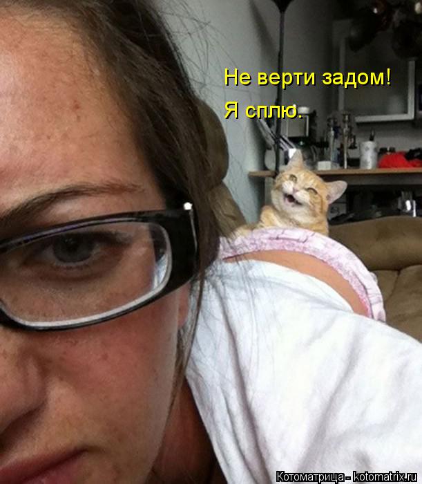 Не верти задом! Я сплю.... Котоматрица: Не верти задом! Я сплю.