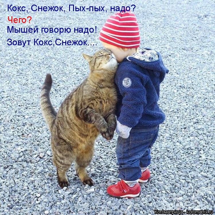 Кокс, Снежок, Пых-пых, надо? Мышей говорю надо! Зовут Кокс,Снежок.... Чего?... Котоматрица: Кокс, Снежок, Пых-пых, надо? Мышей говорю надо! Зовут Кокс,Снежок.... Чего?