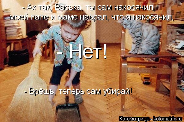 Котоматрица: - Ах так, Васька, ты сам накосячил, моей папе и маме наврал, что я накосячил, - Нет! - Врёшь, теперь сам убирай!