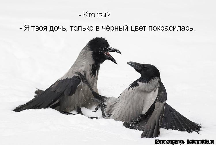 Котоматрица: - Кто ты? - Я твоя дочь, только в чёрный цвет покрасилась.