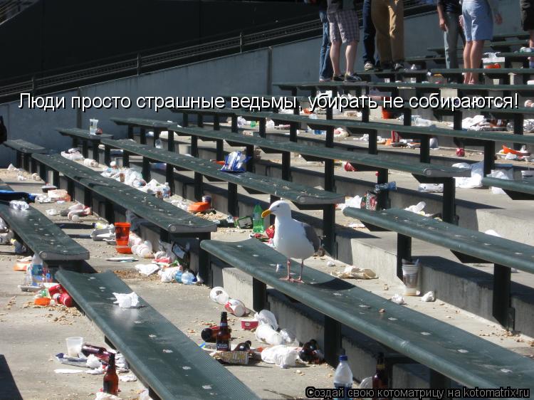 Люди просто страшные ведьмы, убирать не собираются!... Котоматрица: Люди просто страшные ведьмы, убирать не собираются!