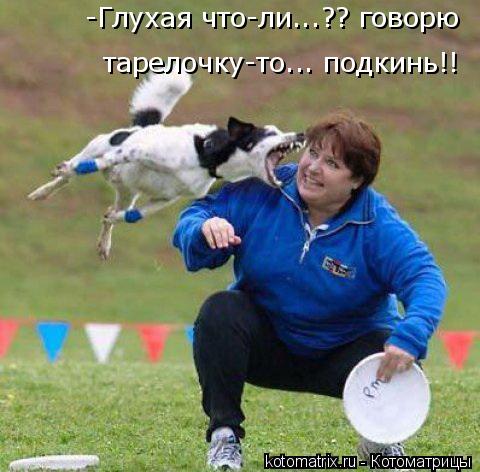 -Глухая что-ли...?? говорю тарелочку-то... подкинь!!... Котоматрица: -Глухая что-ли...?? говорю тарелочку-то... подкинь!!