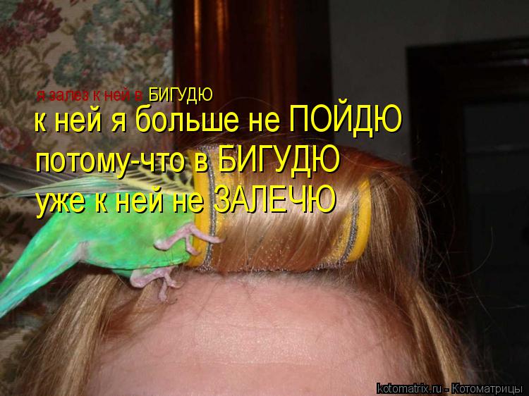 я залез к ней в БИГУДЮ к ней я больше не ПОЙДЮ потому-что в БИГУДЮ уже к ней не ЗАЛЕЧЮ... Котоматрица: я залез к ней в БИГУДЮ к ней я больше не ПОЙДЮ потому-что в БИГУДЮ уже к ней не ЗАЛЕЧЮ