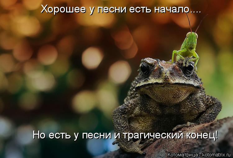 Хорошее у песни есть начало.... Но есть у песни и трагический конец!... Котоматрица: Хорошее у песни есть начало.... Но есть у песни и трагический конец!