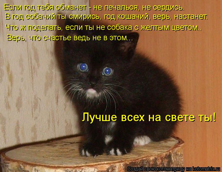 Если год тебя обманет - не печалься, не сердись. В год собачий ты смирись, год кошачий, верь, настан... Котоматрица: Если год тебя обманет - не печалься, не сердись. В год собачий ты смирись, год кошачий, верь, настанет. Что ж поделать, если ты не собака с желт