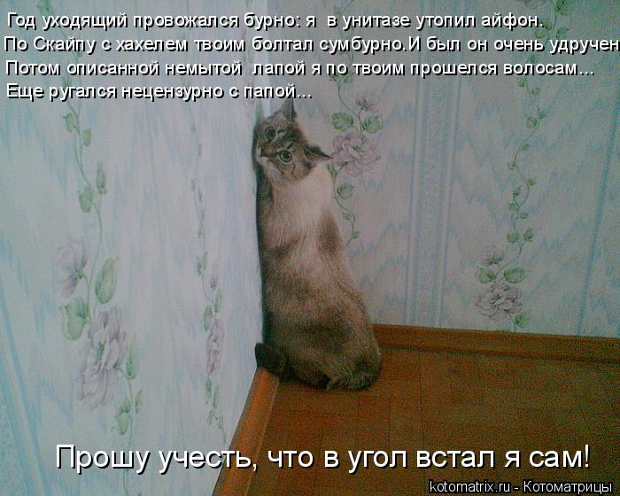 По Скайпу с хахелем твоим болтал сумбурно.И был он очень удручен.... Потом описанной немытой лапой я... Котоматрица: По Скайпу с хахелем твоим болтал сумбурно.И был он очень удручен.... Потом описанной немытой лапой я по твоим прошелся волосам... Еще ругался