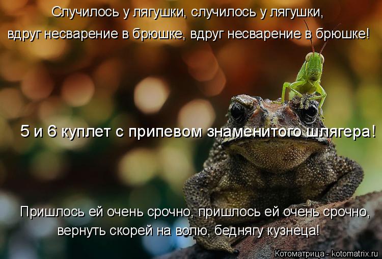 Случилось у лягушки, случилось у лягушки, вдруг несварение в брюшке, вдруг несварение в брюшке! Пришл... Котоматрица: Случилось у лягушки, случилось у лягушки, вдруг несварение в брюшке, вдруг несварение в брюшке! Пришлось ей очень срочно, пришлось ей очень ?
