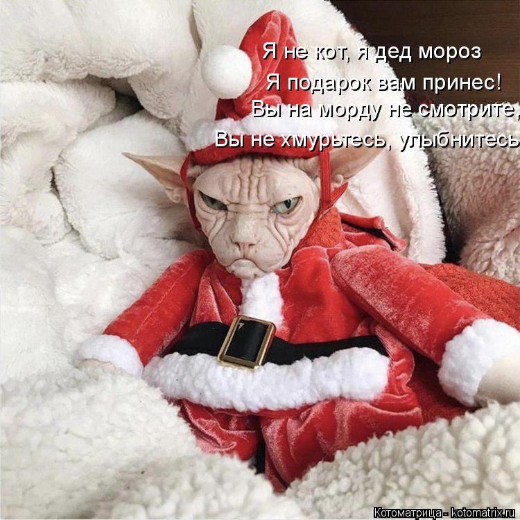 Я не кот, я дед мороз Я подарок вам принес! Вы на морду не смотрите, Вы не хмурьтесь, улыбнитесь!... Котоматрица: Я не кот, я дед мороз Я подарок вам принес! Вы на морду не смотрите, Вы не хмурьтесь, улыбнитесь!