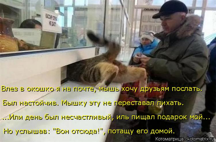 Был настойчив. Мышку эту не переставал пихать. Влез в окошко я на почте, мышь хочу друзьям послать. .... Котоматрица: Был настойчив. Мышку эту не переставал пихать. Влез в окошко я на почте, мышь хочу друзьям послать. ...Или день был несчастливый, иль пищал под