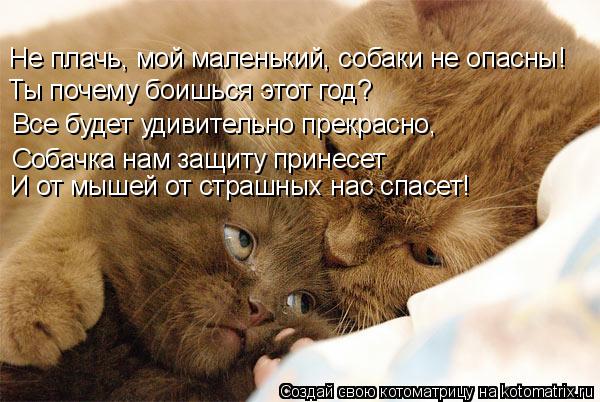 Не плачь, мой маленький, собаки не опасны! Ты почему боишься этот год? Все будет удивительно прекрасн... Котоматрица: Не плачь, мой маленький, собаки не опасны! Ты почему боишься этот год? Все будет удивительно прекрасно, Собачка нам защиту принесет И от мыш?