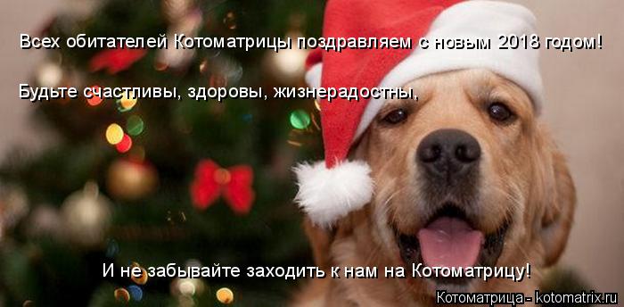 Всех обитателей Котоматрицы поздравляем с новым 2018 годом! Будьте счастливы, здоровы, жизнерадостны,... Котоматрица: Всех обитателей Котоматрицы поздравляем с новым 2018 годом! Будьте счастливы, здоровы, жизнерадостны, И не забывайте заходить И не забывайте