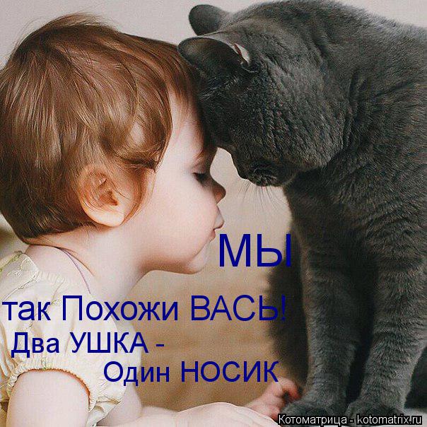 МЫ так Похожи ВАСЬ! Два УШКА - Один НОСИК... Котоматрица: МЫ так Похожи ВАСЬ! Два УШКА - Один НОСИК