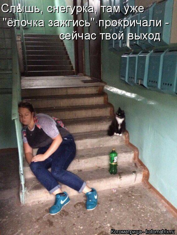 Слышь, снегурка, там уже "ёлочка зажгись" прокричали - сейчас твой выход... Котоматрица: Слышь, снегурка, там уже "ёлочка зажгись" прокричали - сейчас твой выход