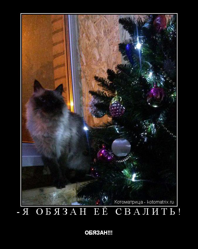-Я ОБЯЗАН ЕЁ СВАЛИТЬ! ОБЯЗАН!!!... Котоматрица: -Я ОБЯЗАН ЕЁ СВАЛИТЬ! ОБЯЗАН!!!