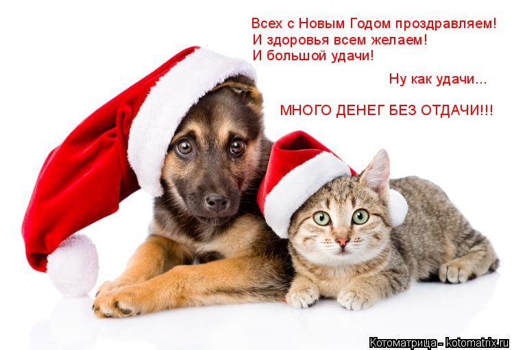 Всех с Новым Годом проздравляем! И здоровья всем желаем! И большой удачи! Ну как удачи... МНОГО ДЕНЕГ... Котоматрица: Всех с Новым Годом проздравляем! И здоровья всем желаем! И большой удачи! Ну как удачи... МНОГО ДЕНЕГ БЕЗ ОТДАЧИ!!!